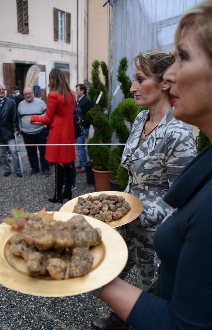 Tartufi, parte la stagione della raccolta 