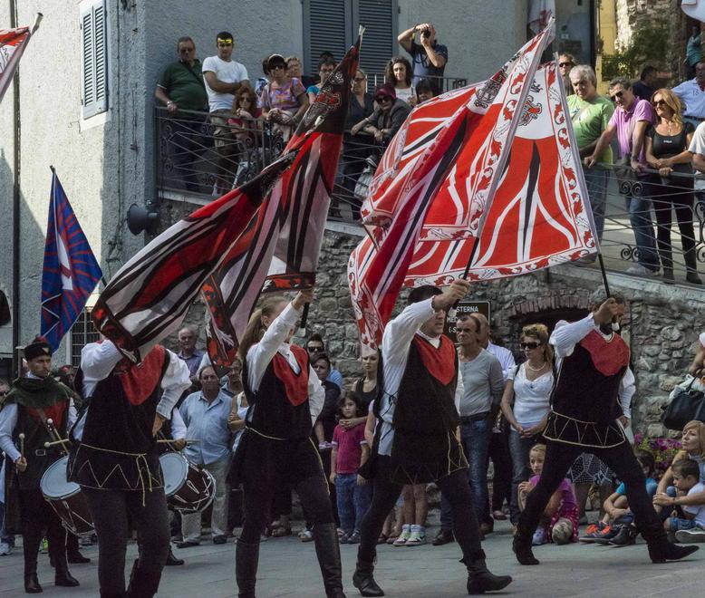 Palio dei ciuchi Nelle contrade è conto alla rovescia