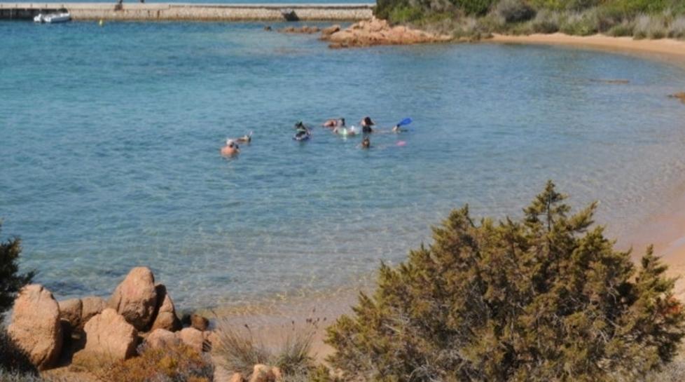 Il Parco organizza un tour alla scoperta della “pinna nobilis” 