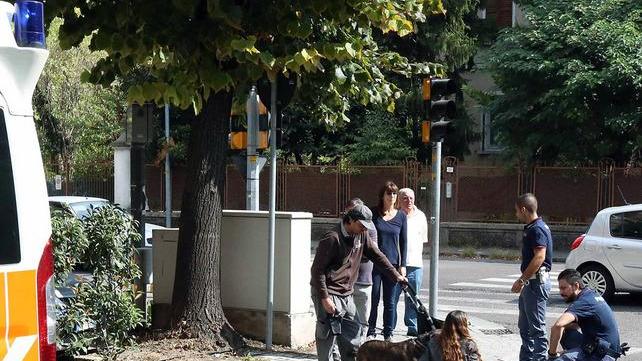 Investita sulle strisce mentre attraversa assieme al cane
