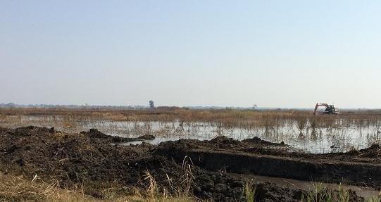 La puzza invade Comacchio, è polemica 