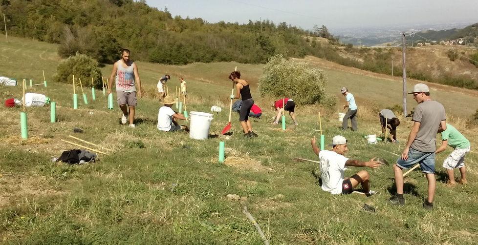 Nuove piante sotto la rupe al posto dell’ecomostro 