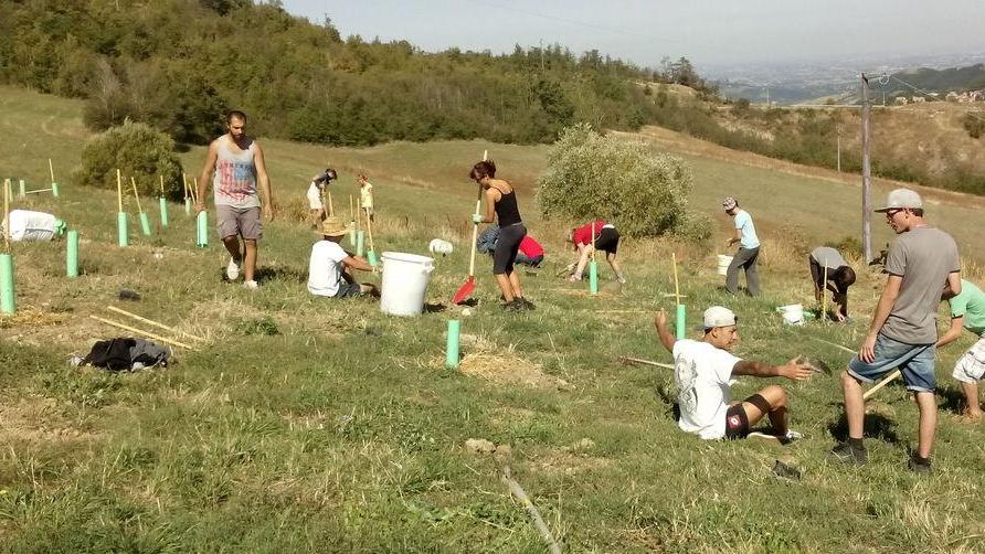 Nuove piante sotto la rupe al posto dell’ecomostro
