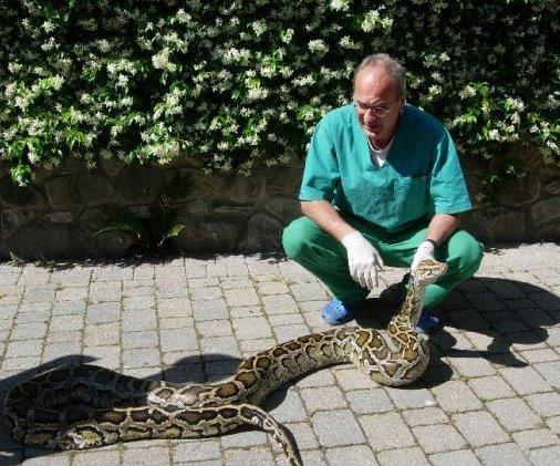 Sempre grave il veterinario ustionato mentre salva gli animali dal fuoco 