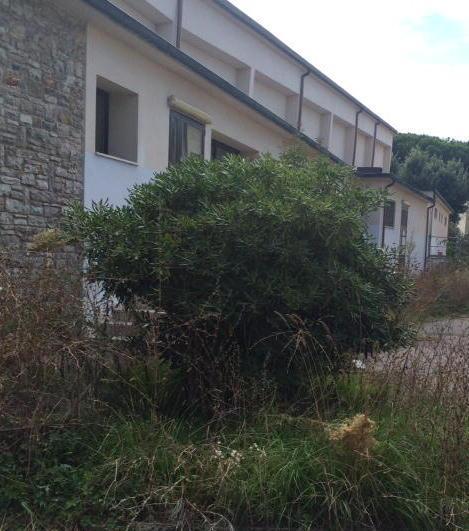 Antincendio nel mirino dei carabinieri