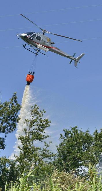 Incendio nel bosco Mattinata di paura sopra Tereglio 