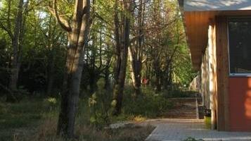 Scuole nuove, e le piante seccano