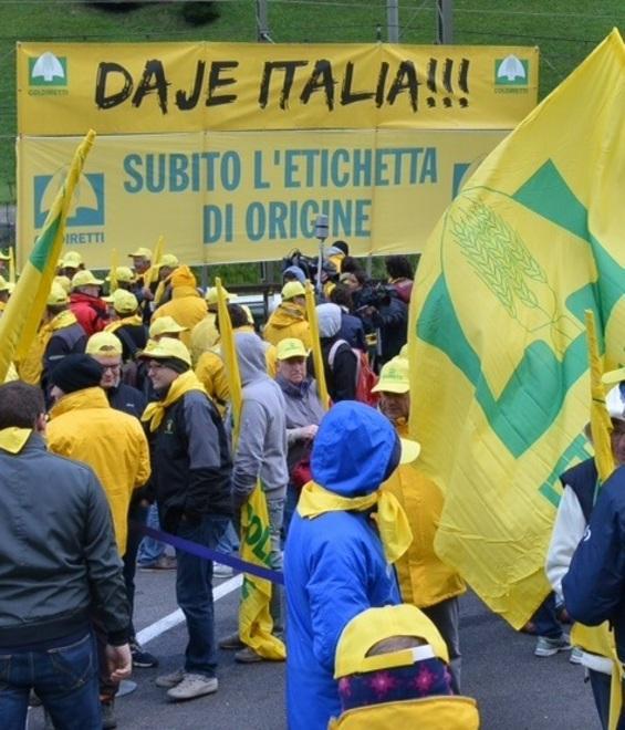 Formaggi ai confini dell’irrealtà 