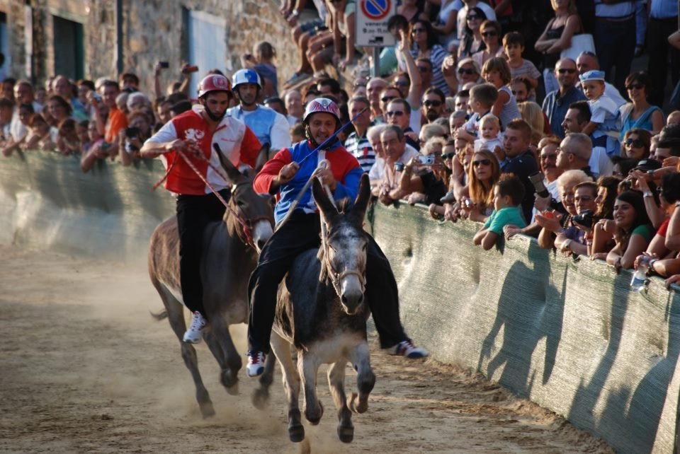 Una delle passate edizioni del palio di Campagnatico 