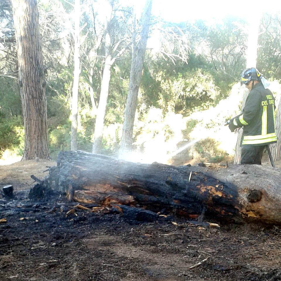 I vigili del fuoco in azione a Caprera
