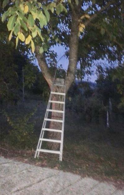Migliora il 52enne caduto dal noce 