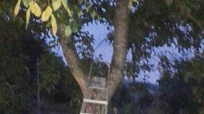 Migliora il 52enne caduto dal noce