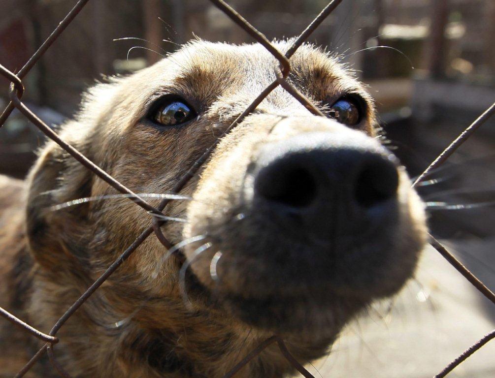 Una foto simbolo