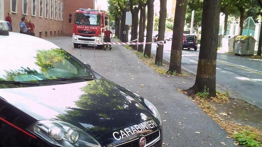 Ramo pericolante, paura per strada