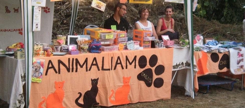 Al via la ricognizione delle colonie feline 