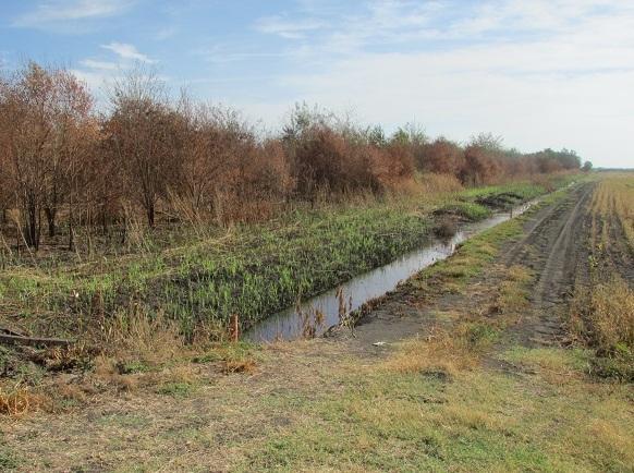 «La gente stia tranquilla Non è la plastica che brucia»