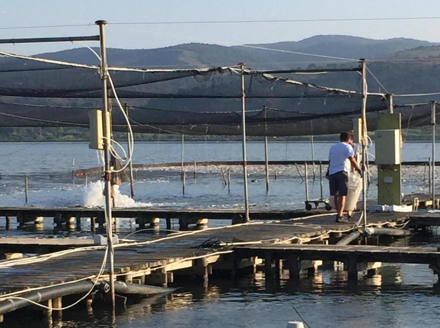 Divieto di balneazione causato dalle fogne 