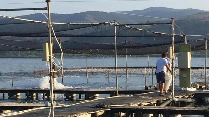 Divieto di balneazione causato dalle fogne