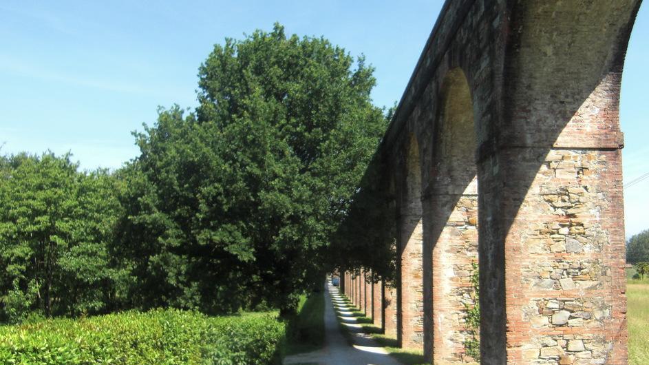 Alberi sull’acquedotto