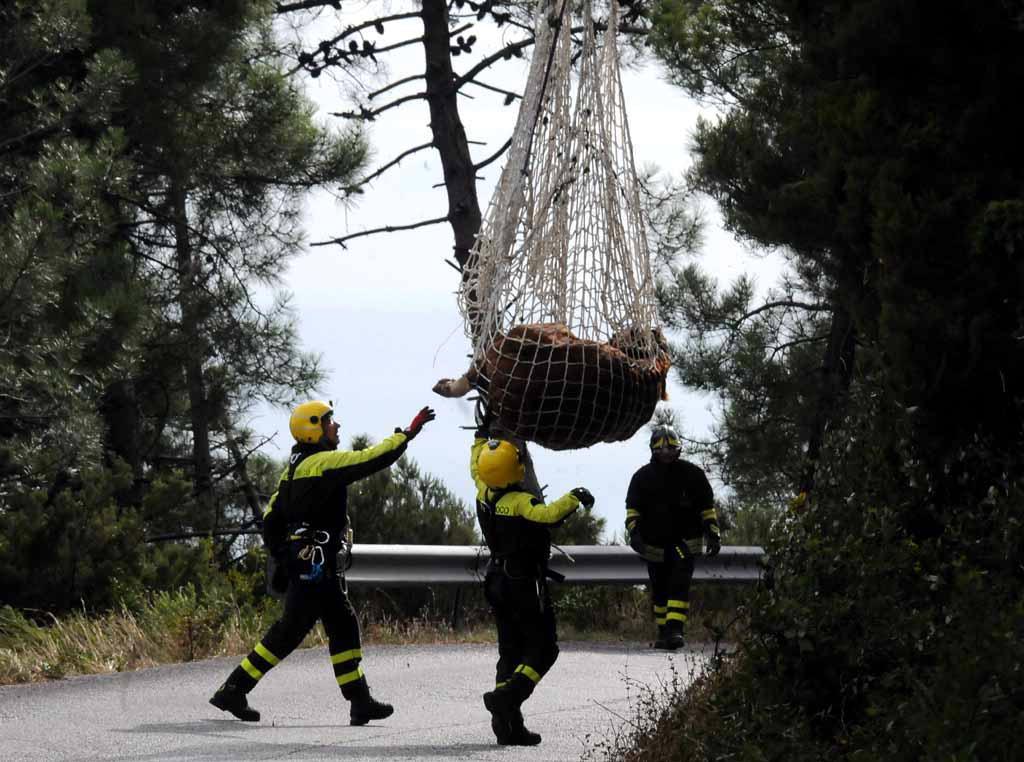 Un momento del salvataggio