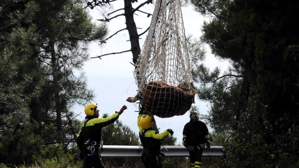 Un momento del salvataggio