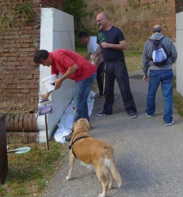Mano libera ai volontari su verde e spazi pubblici 