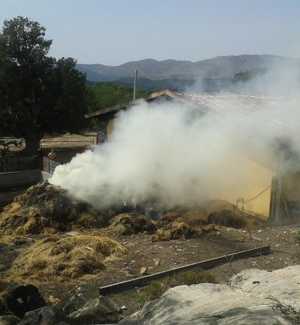 Una stalla e un fienile distrutti dalle fiamme: danni per 90mila euro 