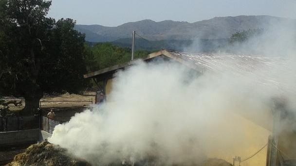 Una stalla e un fienile distrutti dalle fiamme: danni per 90mila euro