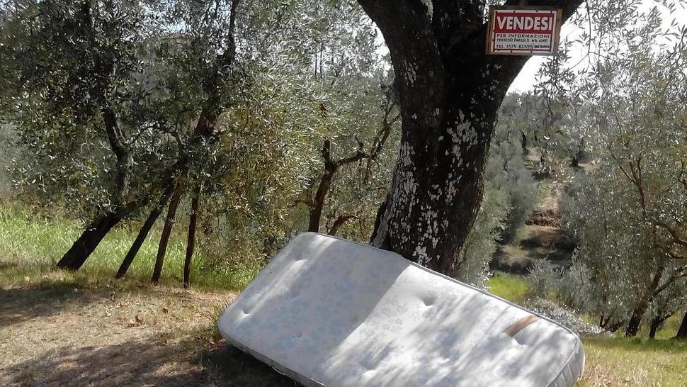 Lamporecchio, materassi e tv abbandonati tra gli ulivi