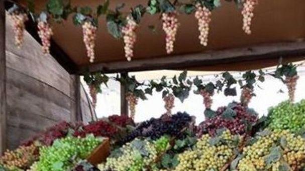 Vino e uva, due giorni di festa Doc