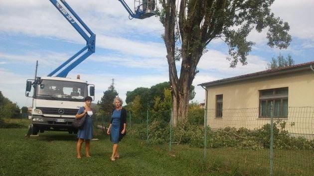 Ramo pericolante all’elementare Sabato a casa per gli alunni