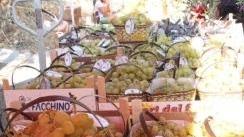 Alla festa dell’Uva sfida tra frazioni e tanto folklore