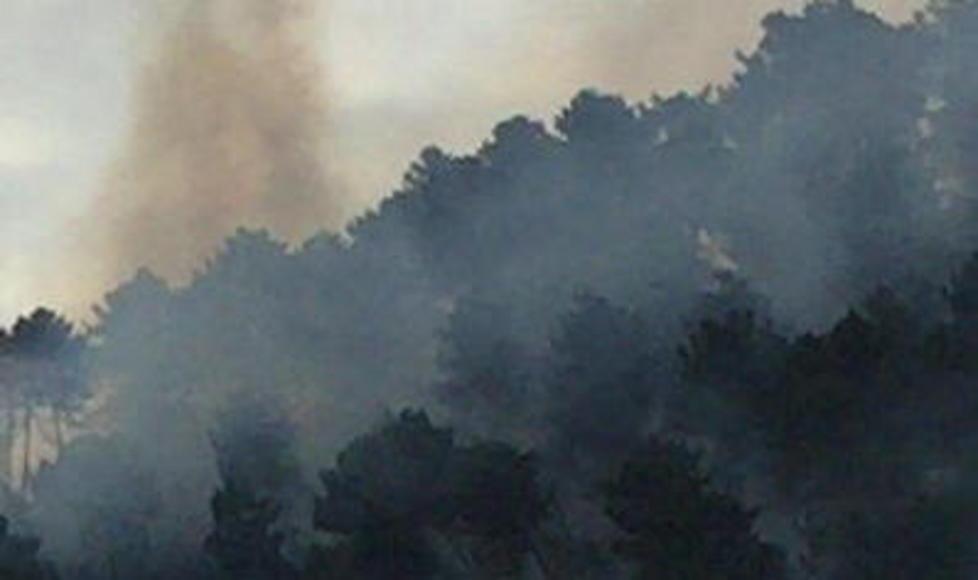 Camaiore, un altro incendio doloso sul monte Moneta 