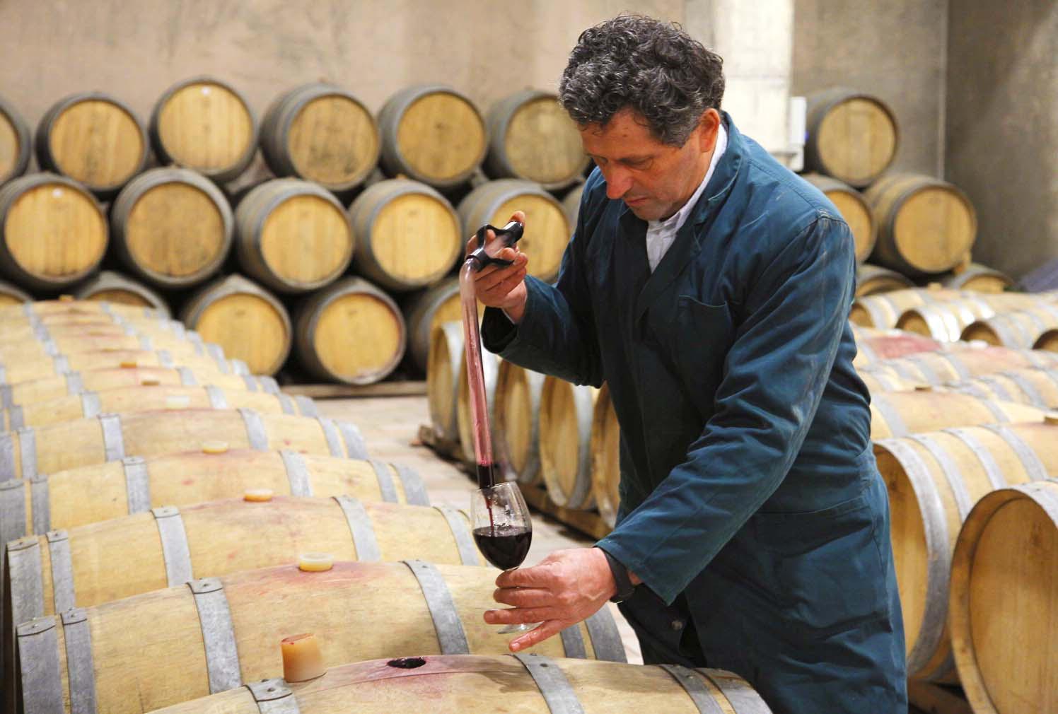 Un assaggio di vino