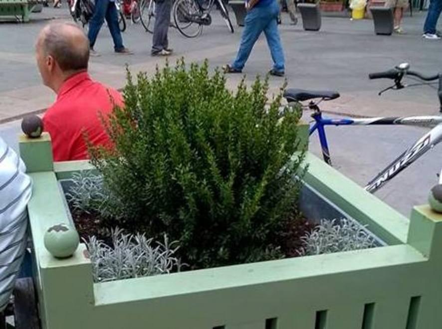 Verde pubblico, in arrivo altre donazioni private 