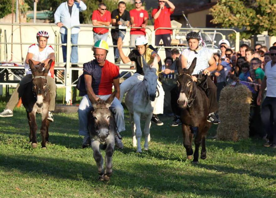 All’Aquila con merito il Palio de’ Ciuchi