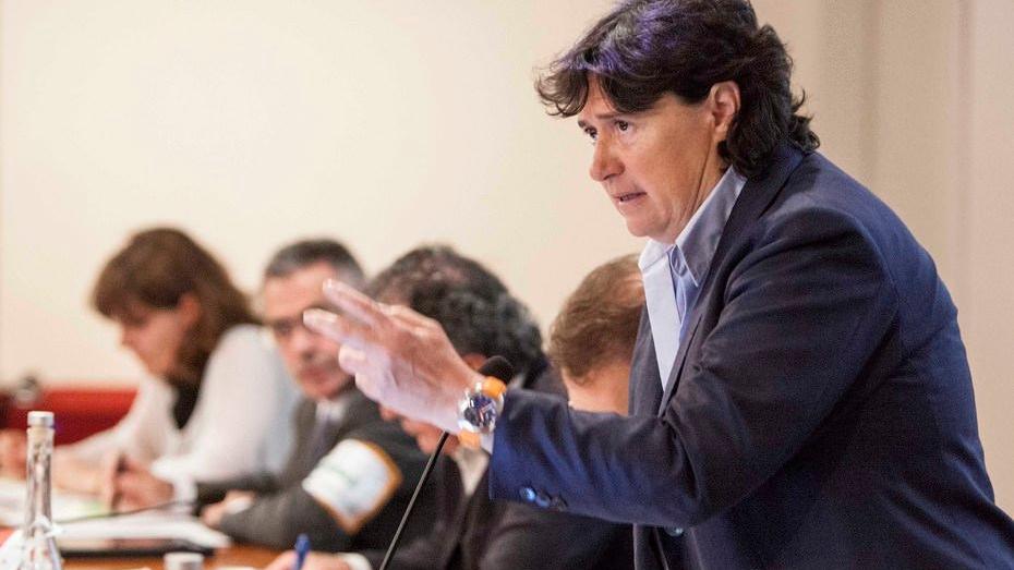 «All’Elba una base fissa per il Pegaso»