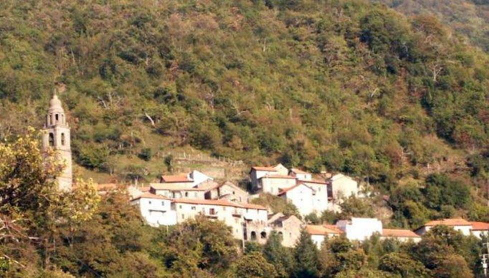 Centrale idroelettrica, rinviato il “verdetto” 