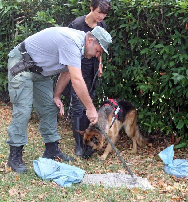 Ma i cani non fiutano nulla, solo cemento 