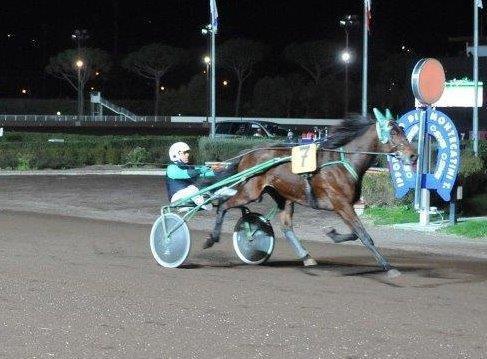 Sugar Bred in un arrivo al Sesana