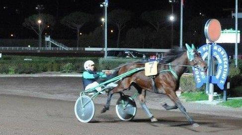 Sugar Bred in un arrivo al Sesana