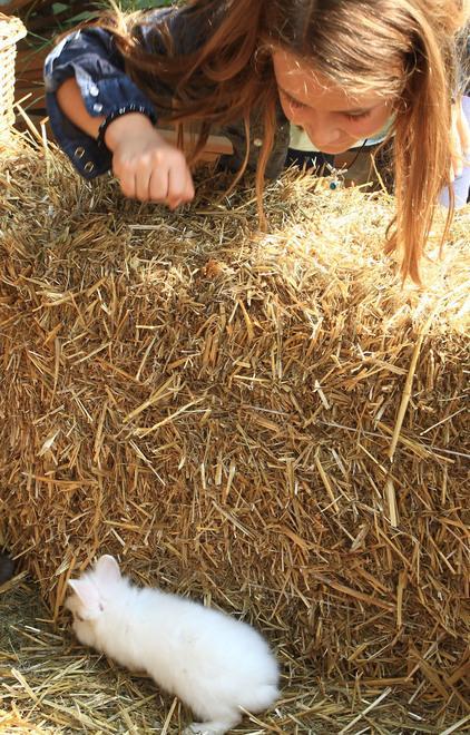 Guastalla riscopre piante e animali perduti 