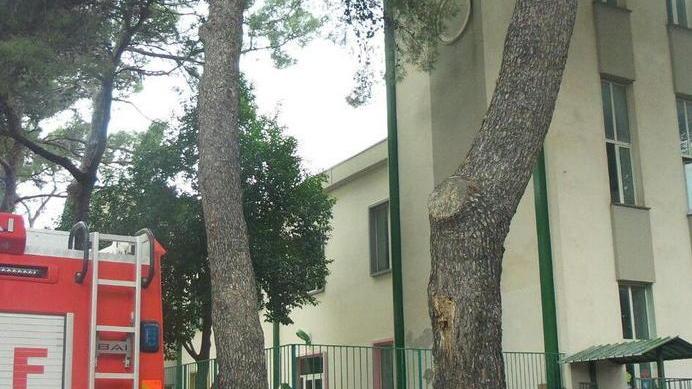 I bambini nel giardino e il camion dei vigili del fuoco