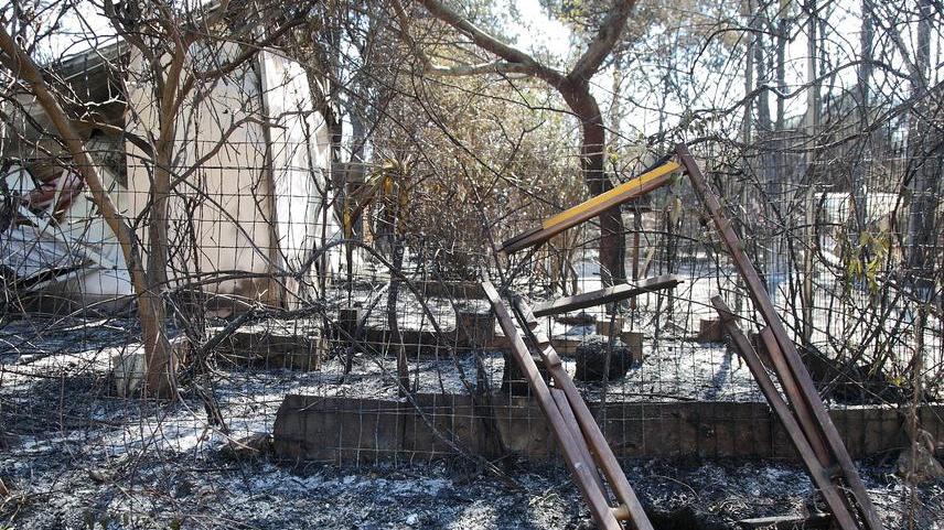 Un'immagine della devastazione provocata dal fuoco nell'area di Sant'Igori