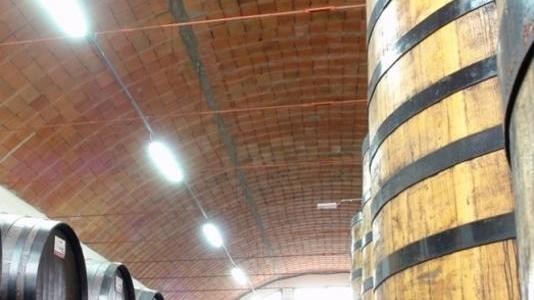 Dalla vigna al mosto: ad Acetaie Aperte i segreti del balsamico