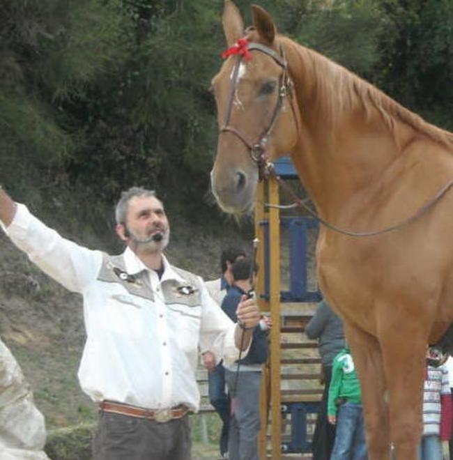 Sara, la cavalla che fa i conti e gioca a pallone col suo padrone