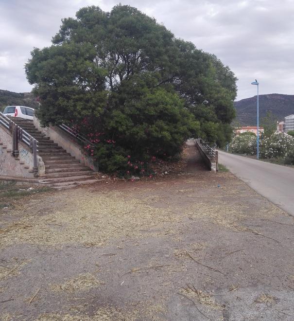 Residui di potatura intralcio ai disabili rimossi dal Comune