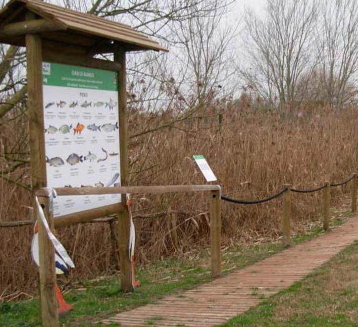 Oltre 50 specie presenti nella zona 