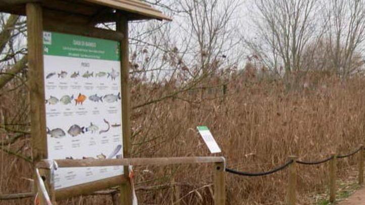 Oltre 50 specie presenti nella zona