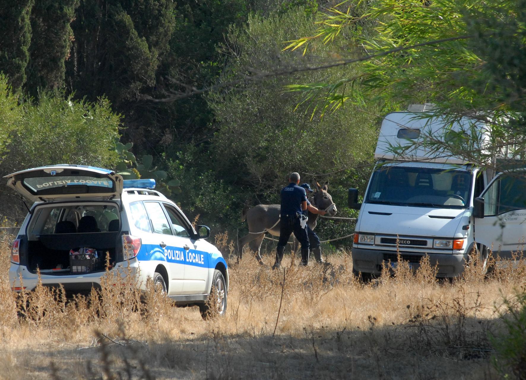 La polizia locale durante il blitz per il sequestro dei terreni del Mater Olbia